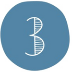 no3